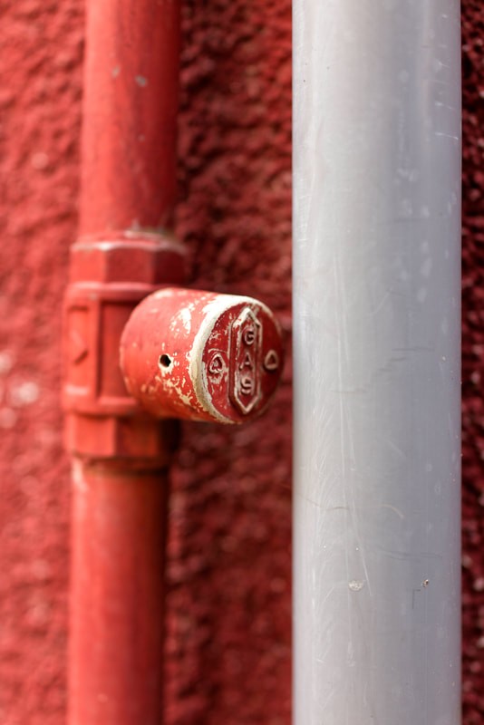 Steven Seidenberg 16